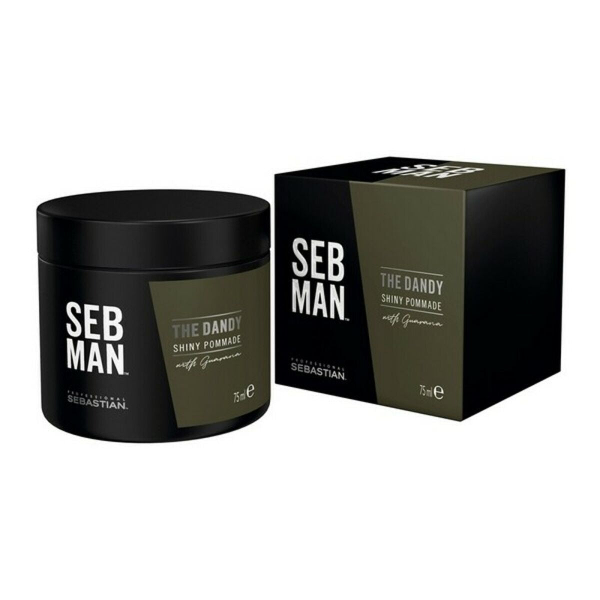 Sebastian Professional Seb Man The Dandy Pomade 75 ml