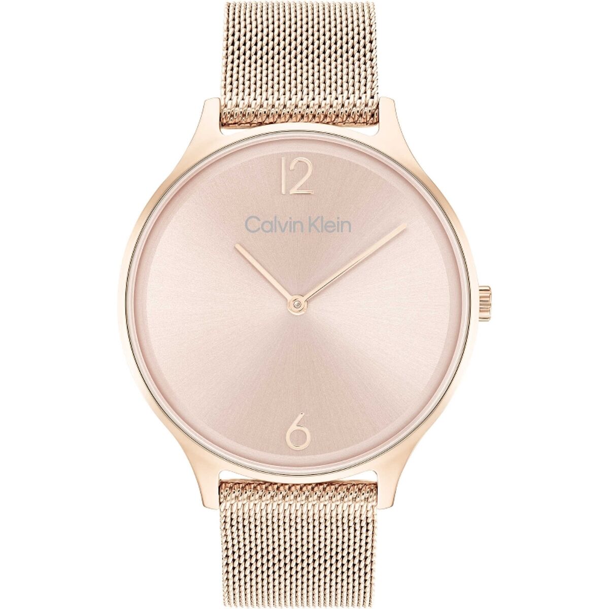 Ladies' Watch Calvin Klein 1681247