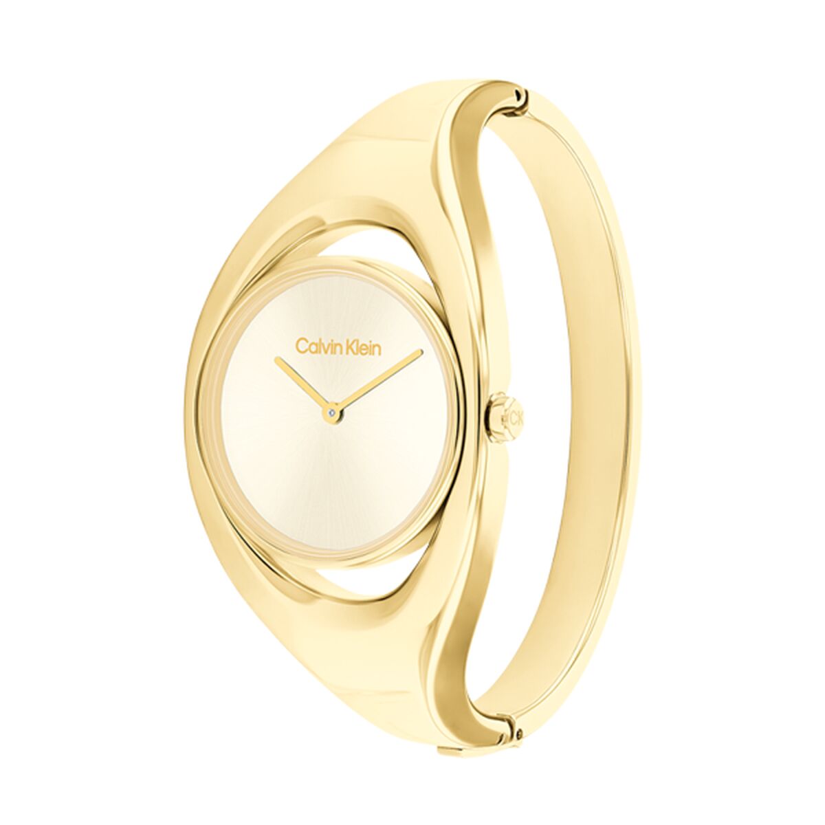 Ladies' Watch Calvin Klein 25200 - Colour: Silver