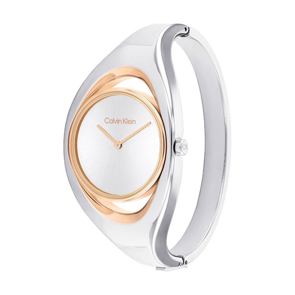 Ladies' Watch Calvin Klein 25200 - Colour: Silver