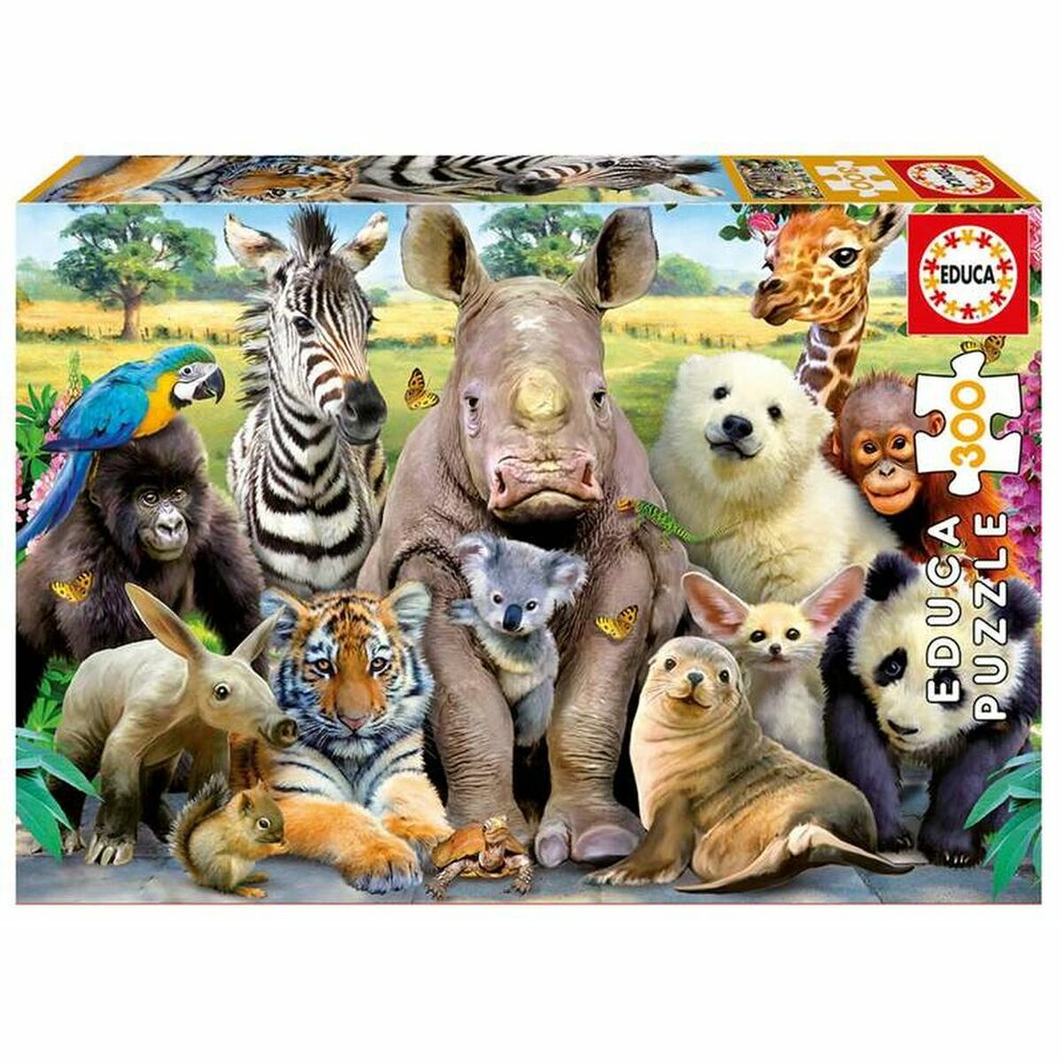 Puzzle Educa EB15908 300 Pieces