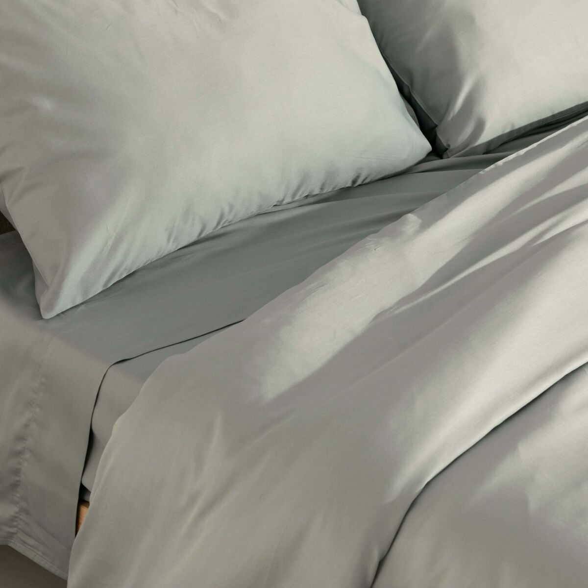 V5H34DB08186F4ED2179DAACCEC13E418EER4239024P3