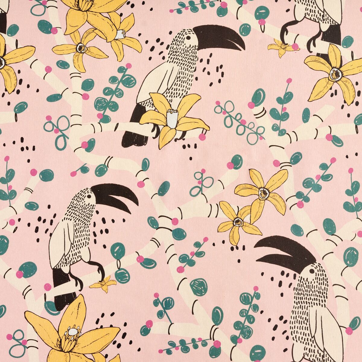 V5HC4DEF72FB97181589F8A1F9704534BEAR4834733P3