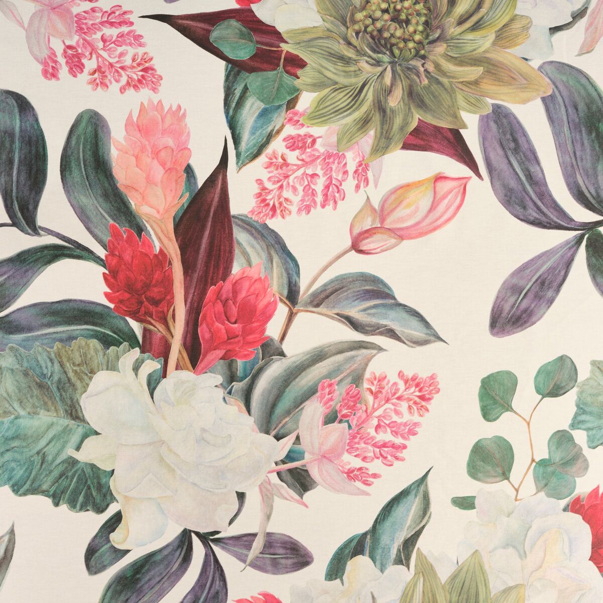 V5HD2A8C5655091A227664A4A3311657C2FR4835024P2