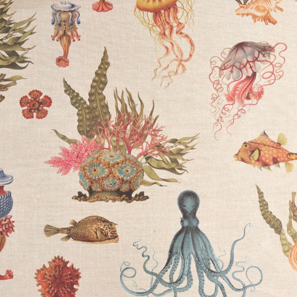 V5H7834F1151A2488EB77219FBDA9FC1DAFR4833415P6