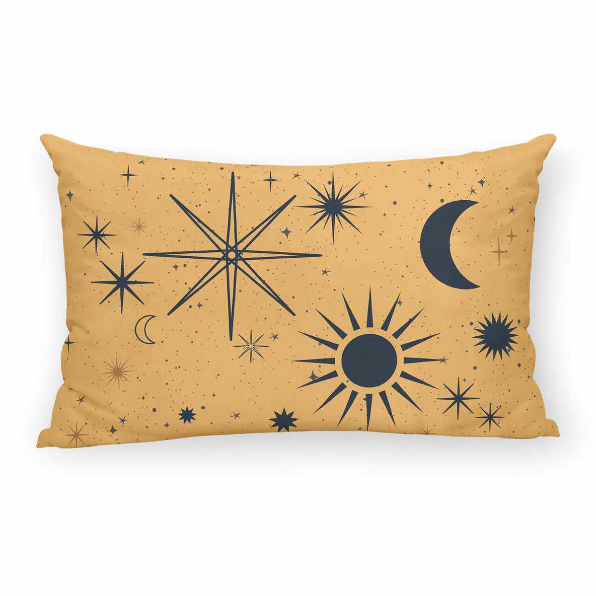 V5H550499DB19706169363A01F37BE43117R4290642P1